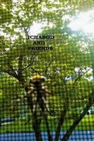 Ichabod And Friends 1512028266 Book Cover