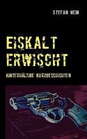 Eiskalt erwischt: Hinterhältige Kurzgeschichten 3833482028 Book Cover