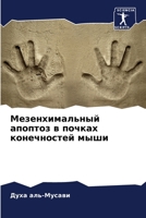 Мезенхимальный апоптоз & 6205681404 Book Cover