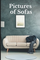 Pictures of Sofas: Funny White Elephant, Secret Dirty Santa Gift, B0B92L8GKY Book Cover