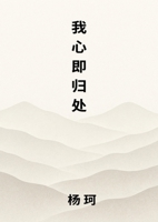 ????? (Chinese Edition) 969699284X Book Cover