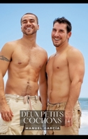 Deux Petits Cochons: Histoires Érotiques Gay de Sexe Explicite (French Edition) 3384282027 Book Cover