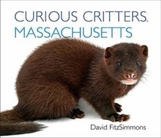 Curious Critters Massachusetts 1936607417 Book Cover