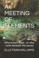 A MEETING OF ELEMENTS: Who knows what - or who - lurks beneath the waves B09T328ZBG Book Cover