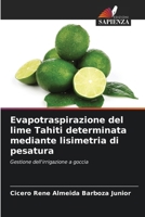 Evapotraspirazione del lime Tahiti determinata mediante lisimetria di pesatura (Italian Edition) 6208841003 Book Cover