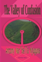 The Valley of Confusion B0CW21SJZT Book Cover