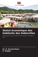 Statut économique des habitants des bidonvilles (French Edition) 6204984357 Book Cover