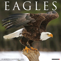 2026 Eagles 12 x 12 Wall 1549251031 Book Cover