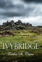 IVYBRIDGE B0BCS92N4Z Book Cover