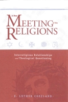 A New Meeting of the Religions: Interreligious Relationships and Theological Questioning 1481311093 Book Cover