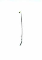 Saying Yes 1585423181 Book Cover