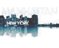 New York 173757750X Book Cover