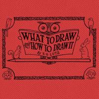 What to Draw and How to Draw It 1925729575 Book Cover