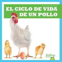 El ciclo de vida de un pollo (A Chicken’s Life Cycle)(Bullfrog Books Spanish Edition: Ciclos de vida B09TN1STSY Book Cover