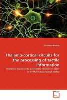 Thalamo-cortical circuits for the processing of tactile information: Thalamic inputs onto excitatory neurons in layer IV of the mouse barrel cortex 3639310063 Book Cover