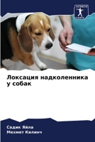 Локсация надколенника у 6205652900 Book Cover