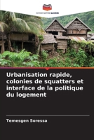 Urbanisation rapide, colonies de squatters et interface de la politique du logement (French Edition) 6207701593 Book Cover