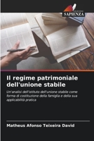 Il regime patrimoniale dell'unione stabile: Un'analisi dell'istituto dell'unione stabile come forma di costituzione della famiglia e della sua applicabilità pratica 6206325768 Book Cover