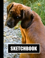 Sketchbook: Brown Dog Cover Design | White Paper | 120 Blank Unlined Pages | 8.5" X 11" | Matte Finished Soft Cover 1711749494 Book Cover
