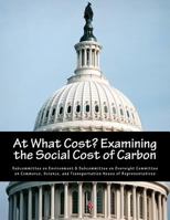 At What Cost? Examining the Social Cost of Carbon 1546520651 Book Cover