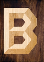 Brinkworth: So Good So Far 1848222556 Book Cover