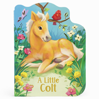 A Little Colt: A Baby Horse Board Book Story 1680527770 Book Cover