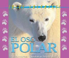 Polar Bear (Wild Bears) 1567119638 Book Cover