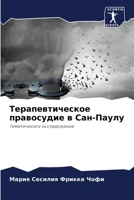 Терапевтическое правосудие в Сан-Паулу: Тематическое исследование 6205930757 Book Cover