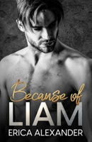 Because of Liam 1732421536 Book Cover