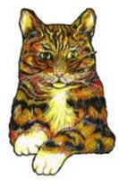 Surtsey the Cat 0957570600 Book Cover