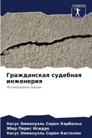 Гражданская судебная инженерия: Исследование трещин 6205874229 Book Cover