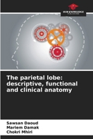 The parietal lobe: descriptive, functional and clinical anatomy 6207207297 Book Cover