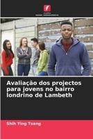 Avaliação dos projectos para jovens no bairro londrino de Lambeth (Portuguese Edition) 6208640083 Book Cover
