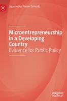 Microentrepreneurship in a Developing Country: Evidence for Public Policy 3030686272 Book Cover