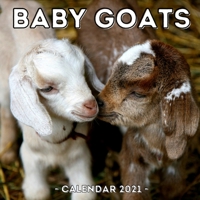 Baby Goats Calendar 2021: 16-Month Calendar, Cute Gift Idea For Goat Lovers Women & Men B093KR4VJ6 Book Cover