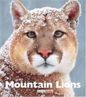 Mountain Lions 1567668887 Book Cover