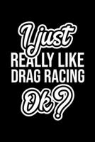 I Just Really Like Drag Racing Ok?: Christmas Gift for Drag Racing lover Funny Drag Racing Journal Nice 2019 Christmas Present for Drag Racing 6x9inch 120 pages 1702275787 Book Cover