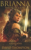 Brianna: Making of a Fury B09BF9GK7M Book Cover