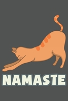 Namaste: Yoga Katze Geschenk F�r Katzenmama Und Yoga Lehrer Dina5 Kariert Notizbuch Tagebuch Planer Notizblock Kladde Journal Malheft Strazze 167966087X Book Cover