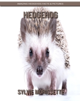 Hedgehog: Amazing Black Panther Facts & Pictures 170368902X Book Cover