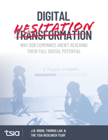 Digital Hesitation: Why B2B Companies Aren't Reaching Their Full Potential 0986046264 Book Cover