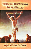 Through His Wounds We Are Healed 0899421164 Book Cover