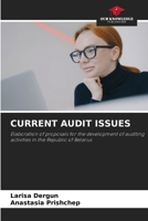Current Audit Issues 620752859X Book Cover