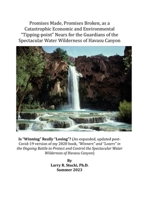 Promises Made, Promises Broken, as a Catastrophic Economic and Environmental "Tipping-point" Nears for the Guardians of the Spectacular Water Wilderness of Havasu Canyon: Is "Winning" Really "Losing"? 1977265839 Book Cover