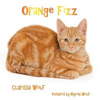 Orange Fizz 1935105396 Book Cover