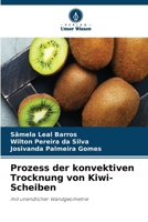 Prozess der konvektiven Trocknung von Kiwi-Scheiben: mit unendlicher Wandgeometrie 6205923831 Book Cover