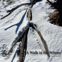 A Walk in the Winter 1530129869 Book Cover