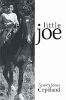 Little Joe 1984547283 Book Cover