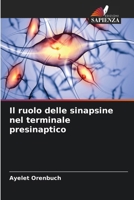 Il ruolo delle sinapsine nel terminale presinaptico (Italian Edition) 6209533604 Book Cover