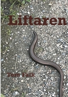 Liftaren (Swedish Edition) 9180575048 Book Cover